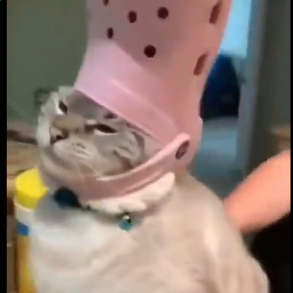 Meet your Posher, - Picture 1 of 1